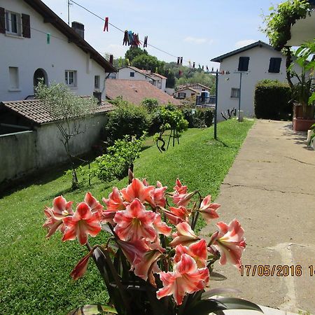 Appartement Bigarena 昂代 外观 照片